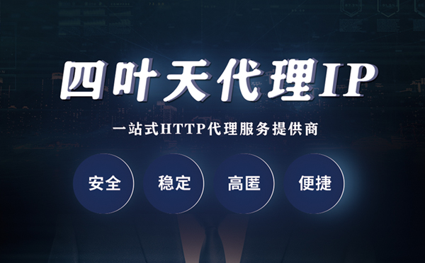 【随州代理IP】代理ip客户端使用教程