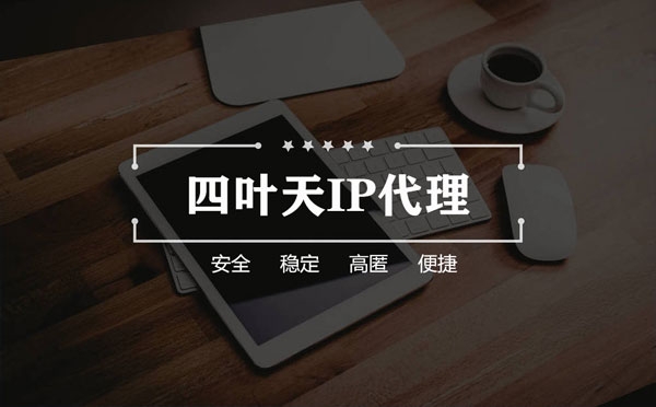 【随州代理IP】如何快速搭建代理IP？怎么检查代理的效果？